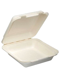 bagasse products