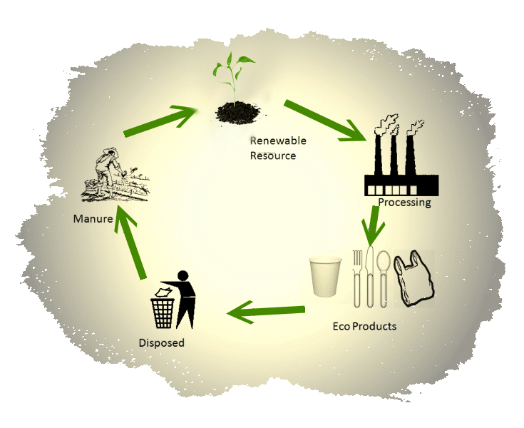 Biodegradable products life cycle